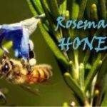 rosemary honey health benefits