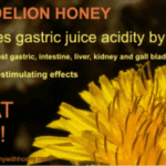 dandelion honey health benefits