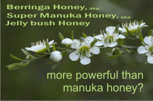 berringa honey aka super manuka honey has a higher antibacterial activity than manuka honey from New Zealand