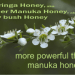 more powerful than manuka honey