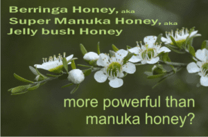 more powerful than manuka honey