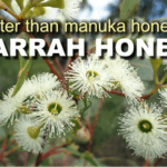 Is jarrah honey better than manuka honey?