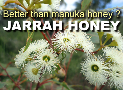 Is jarrah honey better than manuka honey?