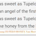 tupelo honey is a honey from mississippi