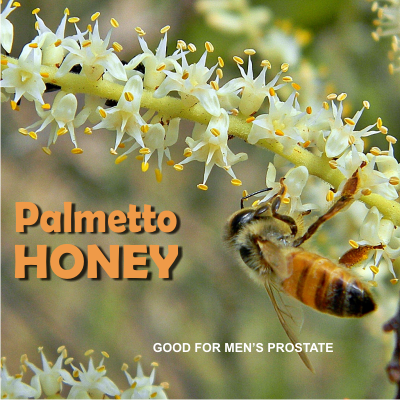 Florida raw organic honey made from SAW PALMETTO and SABAL PALMETTO