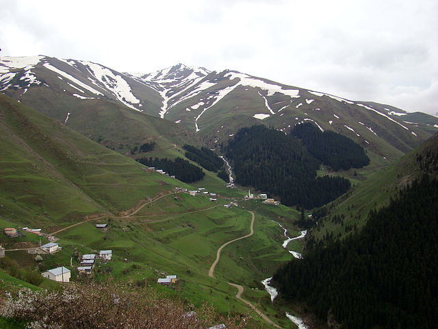 the Anzer plateau in Turkey where the most expensive honey comes from