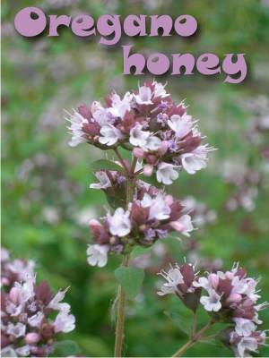 The best oregano honey comes from Morocco!