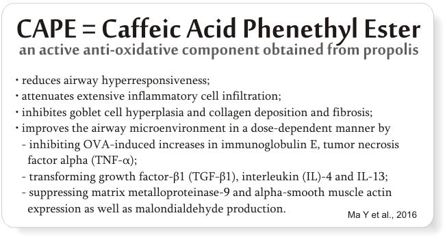 the effect of propolis on asthma