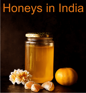 therapeutic honey from india