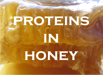 Proteins in honey
