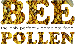 what is the composition of bee pollen