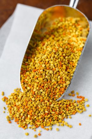 health benefits of willow bee pollen