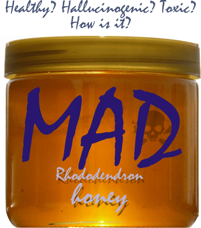 what is mad honey and where to find it