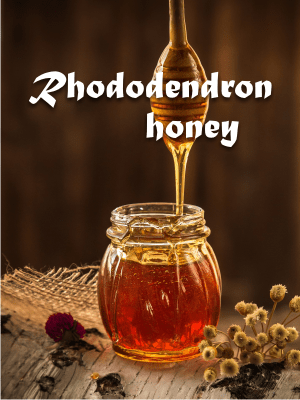 how is rhododendron honey
