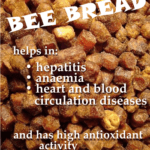 health benefits of bee bread aka beebread or perga