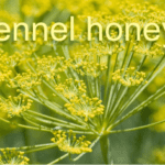 is fennel honey real