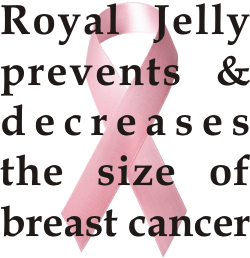 Royal jelly is one of the best natural remedies for breast cancer