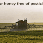 pesticides in honey
