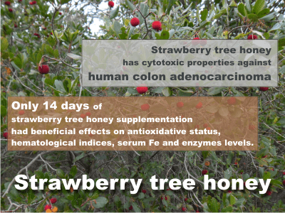 Health benefits of strawberry tree honey