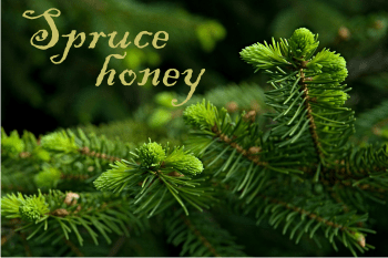 What is spruce honey?