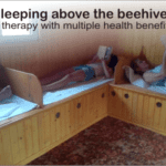 bee therapy house