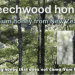 what is beechwood honey