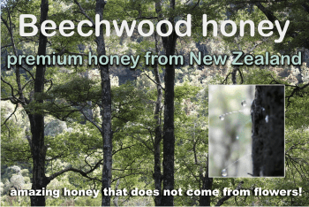 What is beechwood honey? One premium honey from New Zealand.