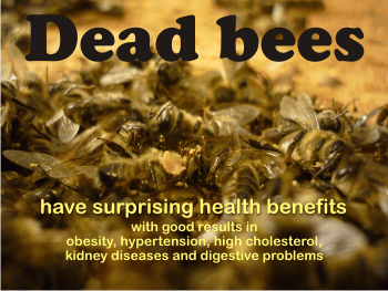 The therapy with DEAD BEES offers interesting health benefits!