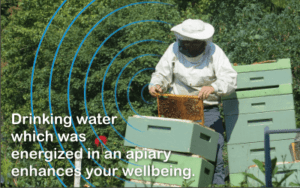 why beekeepers are healthy