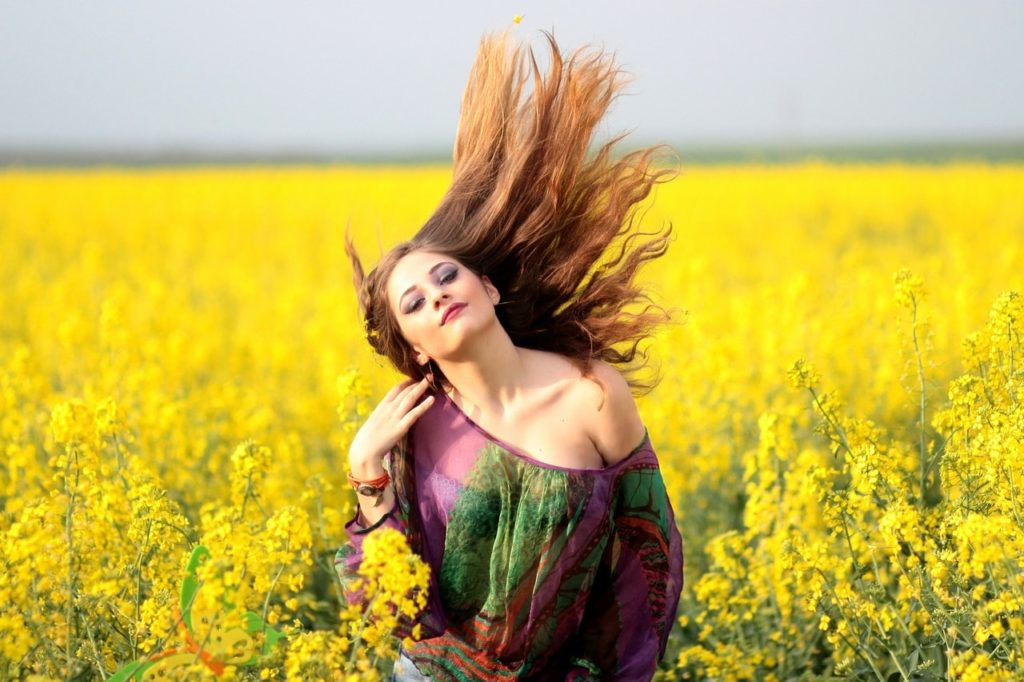 taking a photo in canola field