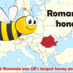 romanian honey