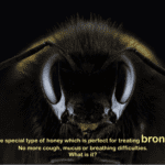 natural remedies for bronchitis cough mucus