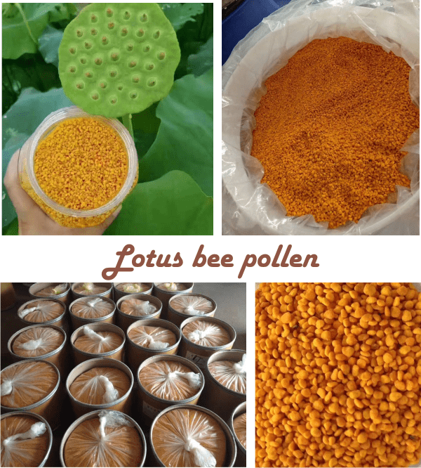 what is lotus bee pollen good for