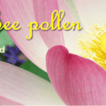 what is lotus bee pollen good for