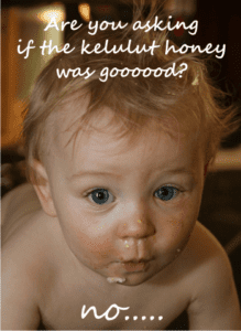 health benefits of stingless honey