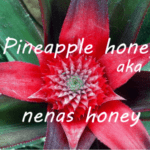how is pineapple honey or nenas honey