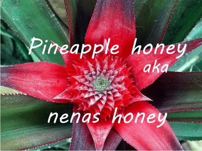 how is pineapple honey or nenas honey