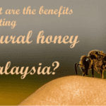 the benefits of eating natural honey from malaysia