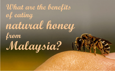 What are the health benefits of eating honey from Malaysia?