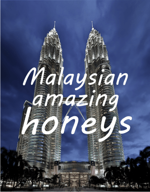 What types of honey can we find in Malaysia?
