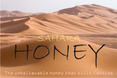 What is Sahara honey? Good antimicrobial honey produced in the Saharan oases.
