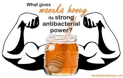 What about manuka honey’s strong antibacterial properties? What makes it so special?
