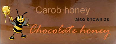 what is carob honey? a powerful antioxidant chocolate treat!