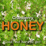 cranberry honey is good for UTI