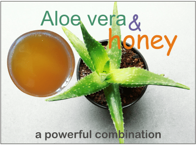 What About Aloe Vera Benefits When Combined With Honey Here Are 13 Recipes That May Help