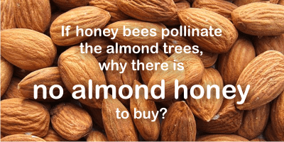 What is almond honey? And where is it?