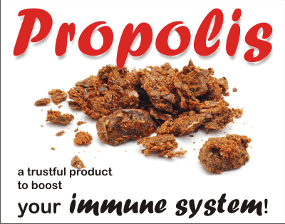 How to boost the immune system fast? Try propolis!