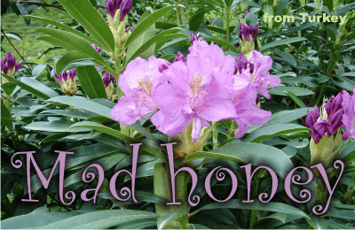 mad honey aka rhododendron honey aka deli bal