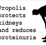 how to protect kindney and reduce proteinuria