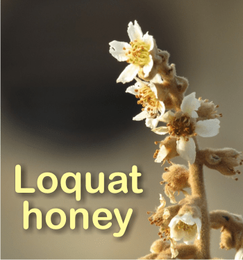 What is loquat honey good for?